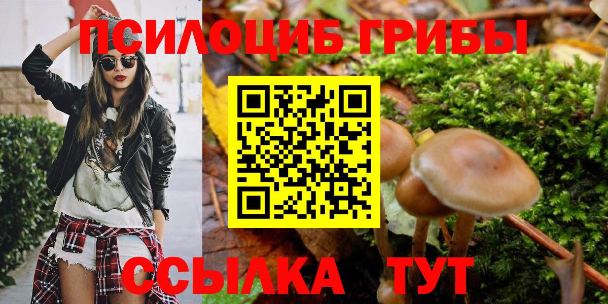 Псилоцибиновые грибы MAGIC MUSHROOMS  Вход с VPN  Псилоцибиновые грибы прущие грибы  Татарск 